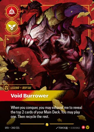Void Burrower