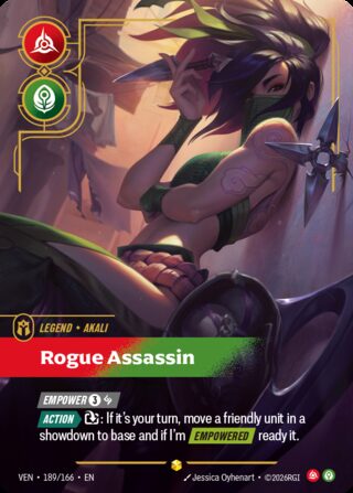 Rogue Assassin